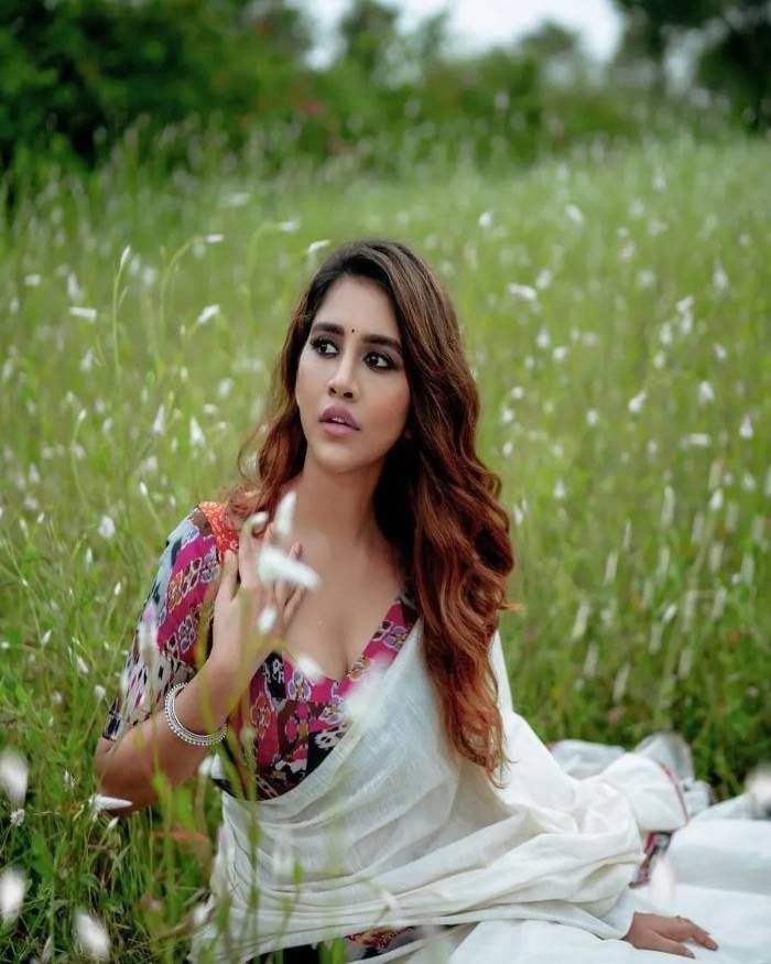 nabha natesh_teluguvox 3